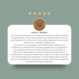 a review on a graphic 